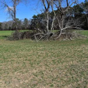 Photo of SOLD!  30 Acres of Recreational Land For Sale in Accomack County VA!