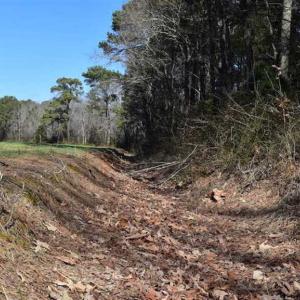 Photo of SOLD!  30 Acres of Recreational Land For Sale in Accomack County VA!