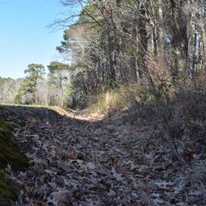 Photo of SOLD!  30 Acres of Recreational Land For Sale in Accomack County VA!