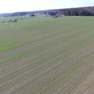 Photo of SOLD!  30 Acres of Recreational Land For Sale in Accomack County VA!