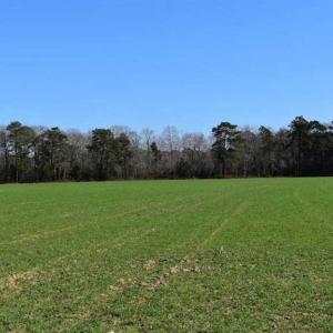 Photo of SOLD!  30 Acres of Recreational Land For Sale in Accomack County VA!