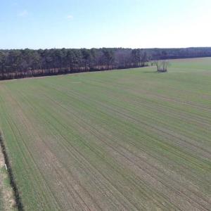 Photo of SOLD!  30 Acres of Recreational Land For Sale in Accomack County VA!
