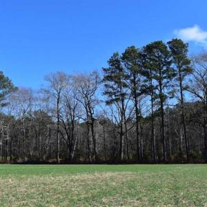 Photo of SOLD!  30 Acres of Recreational Land For Sale in Accomack County VA!