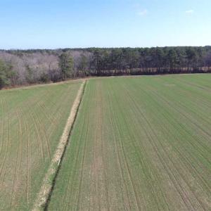 Photo of SOLD!  30 Acres of Recreational Land For Sale in Accomack County VA!