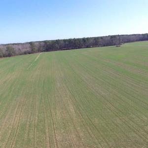 Photo of SOLD!  30 Acres of Recreational Land For Sale in Accomack County VA!