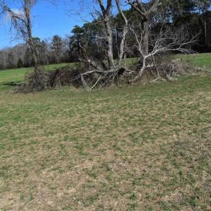 Photo of SOLD!  30 Acres of Recreational Land For Sale in Accomack County VA!