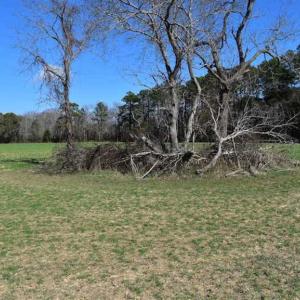 Photo of SOLD!  30 Acres of Recreational Land For Sale in Accomack County VA!