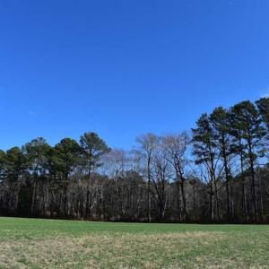 Photo of SOLD!  30 Acres of Recreational Land For Sale in Accomack County VA!