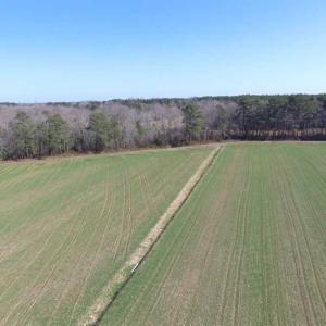 Photo of SOLD!  30 Acres of Recreational Land For Sale in Accomack County VA!