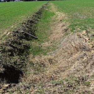 Photo of SOLD!  30 Acres of Recreational Land For Sale in Accomack County VA!