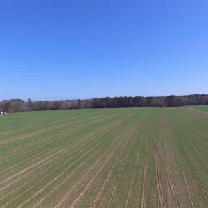 Photo of SOLD!  30 Acres of Recreational Land For Sale in Accomack County VA!