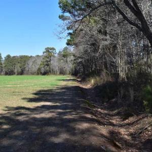 Photo of SOLD!  30 Acres of Recreational Land For Sale in Accomack County VA!