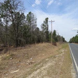Photo of UNDER CONTRACT!  4 Acres of Hunting and Timber Land for Sale in Scotland County NC!