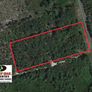 Photo of UNDER CONTRACT!  4 Acres of Hunting and Timber Land for Sale in Scotland County NC!