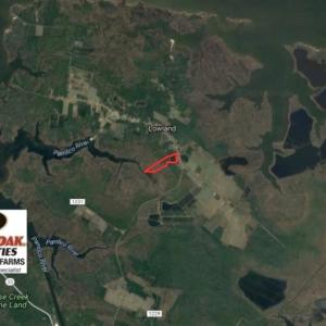 Photo of UNDER CONTRACT!  Duck Impoundment and Hunting Land For Sale in Pamlico County NC!