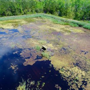 Photo of UNDER CONTRACT!  Duck Impoundment and Hunting Land For Sale in Pamlico County NC!
