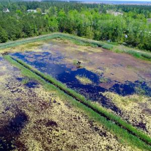 Photo of UNDER CONTRACT!  Duck Impoundment and Hunting Land For Sale in Pamlico County NC!