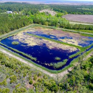 Photo of UNDER CONTRACT!  Duck Impoundment and Hunting Land For Sale in Pamlico County NC!