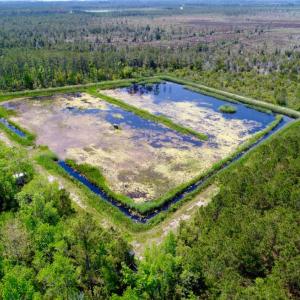 Photo of UNDER CONTRACT!  Duck Impoundment and Hunting Land For Sale in Pamlico County NC!