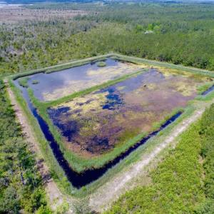 Photo of UNDER CONTRACT!  Duck Impoundment and Hunting Land For Sale in Pamlico County NC!