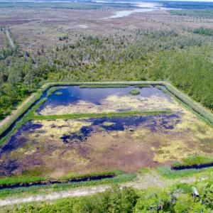 Photo of UNDER CONTRACT!  Duck Impoundment and Hunting Land For Sale in Pamlico County NC!