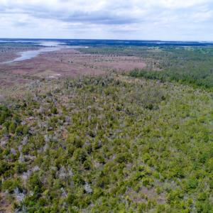 Photo of UNDER CONTRACT!  Duck Impoundment and Hunting Land For Sale in Pamlico County NC!