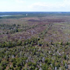 Photo of UNDER CONTRACT!  Duck Impoundment and Hunting Land For Sale in Pamlico County NC!