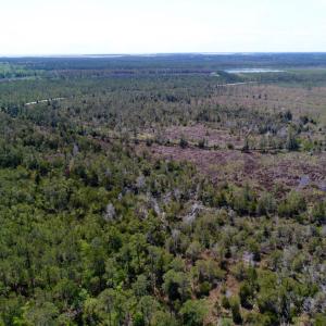 Photo of UNDER CONTRACT!  Duck Impoundment and Hunting Land For Sale in Pamlico County NC!