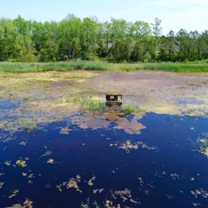Photo of UNDER CONTRACT!  Duck Impoundment and Hunting Land For Sale in Pamlico County NC!