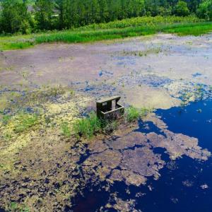 Photo of UNDER CONTRACT!  Duck Impoundment and Hunting Land For Sale in Pamlico County NC!