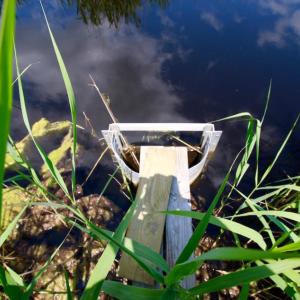 Photo of UNDER CONTRACT!  Duck Impoundment and Hunting Land For Sale in Pamlico County NC!