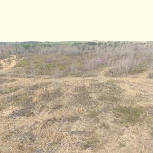 Photo of SOLD!  20 Acres of Prime Hunting and Recreational Land For Sale in Dinwiddie County VA!