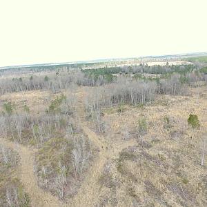 Photo of SOLD!  20 Acres of Prime Hunting and Recreational Land For Sale in Dinwiddie County VA!
