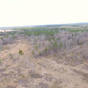 Photo of SOLD!  20 Acres of Prime Hunting and Recreational Land For Sale in Dinwiddie County VA!