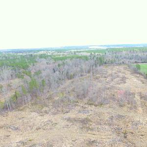 Photo of SOLD!  20 Acres of Prime Hunting and Recreational Land For Sale in Dinwiddie County VA!