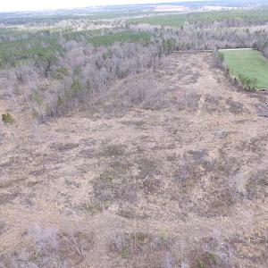 Photo of SOLD!  20 Acres of Prime Hunting and Recreational Land For Sale in Dinwiddie County VA!
