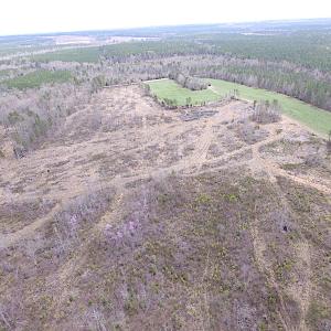 Photo of SOLD!  20 Acres of Prime Hunting and Recreational Land For Sale in Dinwiddie County VA!