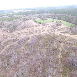 Photo of SOLD!  20 Acres of Prime Hunting and Recreational Land For Sale in Dinwiddie County VA!