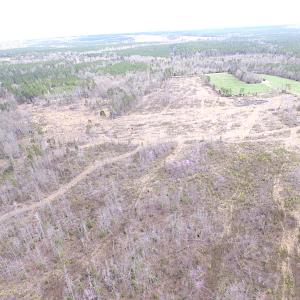 Photo of SOLD!  20 Acres of Prime Hunting and Recreational Land For Sale in Dinwiddie County VA!