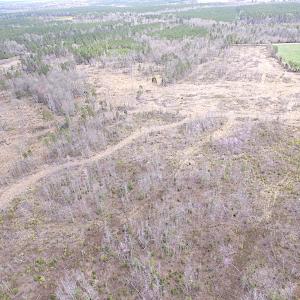 Photo of SOLD!  20 Acres of Prime Hunting and Recreational Land For Sale in Dinwiddie County VA!