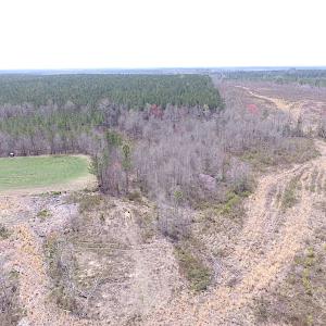 Photo of SOLD!  20 Acres of Prime Hunting and Recreational Land For Sale in Dinwiddie County VA!