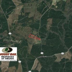 Photo of SOLD!  20 Acres of Prime Hunting and Recreational Land For Sale in Dinwiddie County VA!
