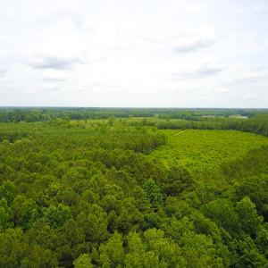 Photo of UNDER CONTRACT!  59 Acres of Hunting and Timber Land with Home For Sale in Bertie County NC!