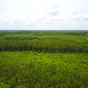 Photo of UNDER CONTRACT!  59 Acres of Hunting and Timber Land with Home For Sale in Bertie County NC!