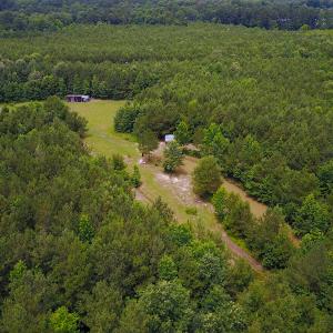 Photo of UNDER CONTRACT!  59 Acres of Hunting and Timber Land with Home For Sale in Bertie County NC!