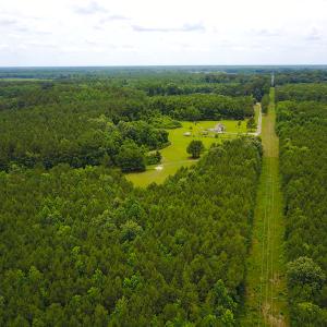 Photo of UNDER CONTRACT!  59 Acres of Hunting and Timber Land with Home For Sale in Bertie County NC!