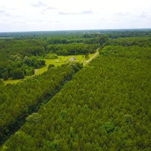 Photo of UNDER CONTRACT!  59 Acres of Hunting and Timber Land with Home For Sale in Bertie County NC!