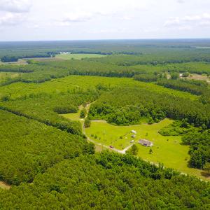 Photo of UNDER CONTRACT!  59 Acres of Hunting and Timber Land with Home For Sale in Bertie County NC!