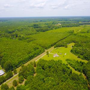 Photo of UNDER CONTRACT!  59 Acres of Hunting and Timber Land with Home For Sale in Bertie County NC!