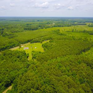 Photo of UNDER CONTRACT!  59 Acres of Hunting and Timber Land with Home For Sale in Bertie County NC!